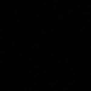 Meet your Posher, Audrey